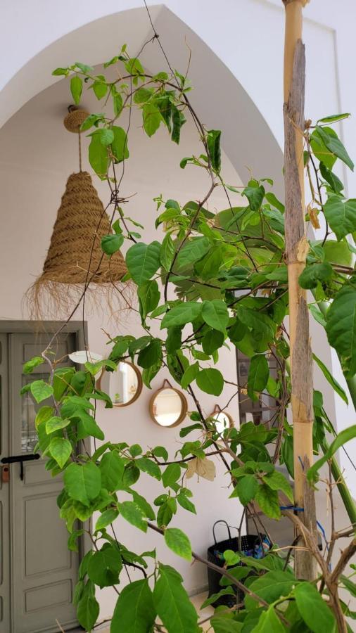 Riad Nohad Marrakech Маракеш Екстериор снимка